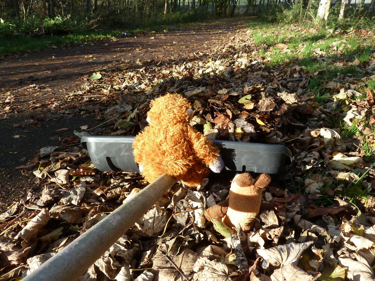 Pongo and Mouse next to a big shovel