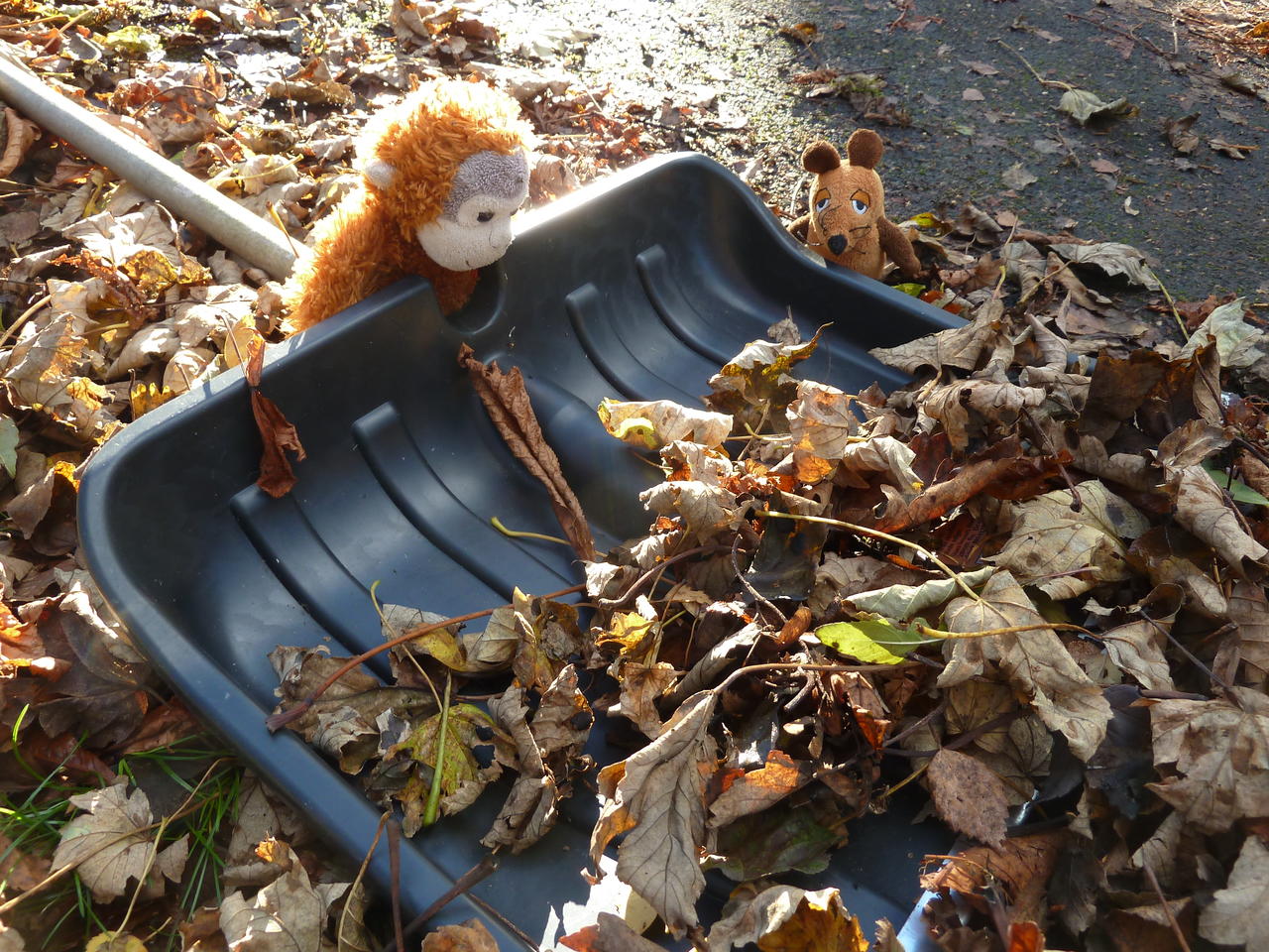 Pongo and Mouse next to a big shovel