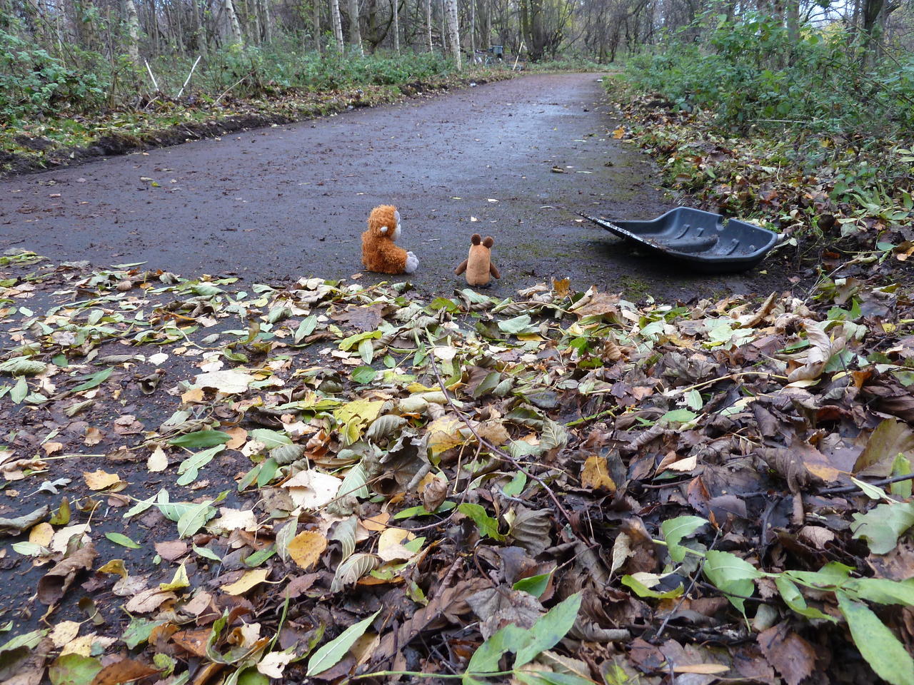 Pongo and Mouse next to their shovel, looking back where the path is clean